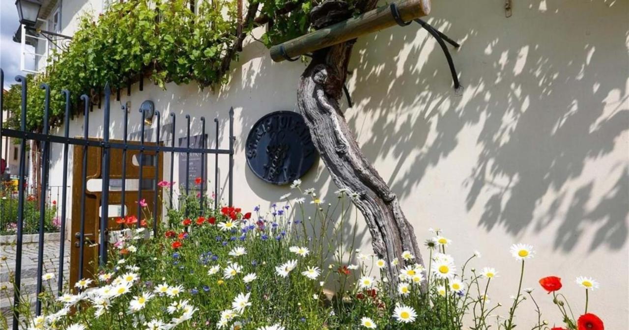 Urlaub Fuer Die Seele - Erholung Pur In Der Natur - Ferienhaus Mit Infrarotkabine & Relax-Raum Rucmanci Exterior photo